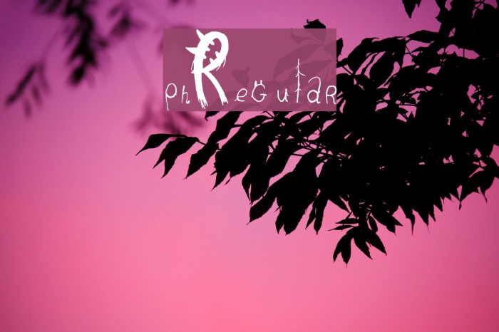 pnÏRegular Example 3