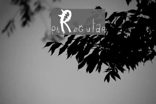 pnÏRegular Font examples