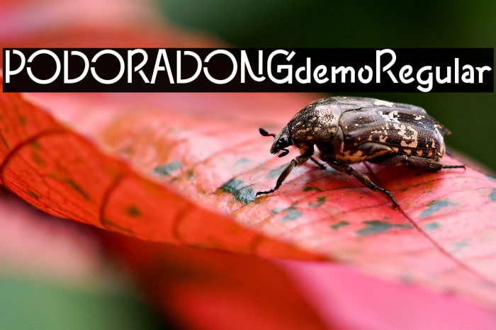 PODORADONGdemoRegular Example 1