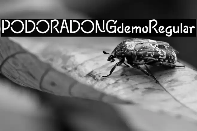 PODORADONGdemoRegular Font examples