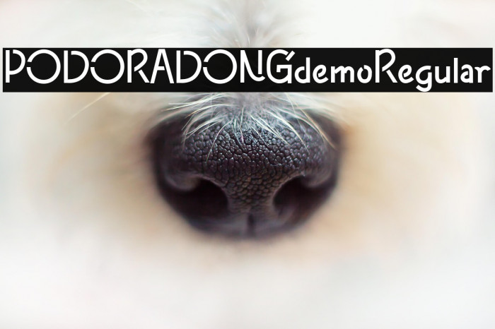PODORADONGdemoRegular Example 3
