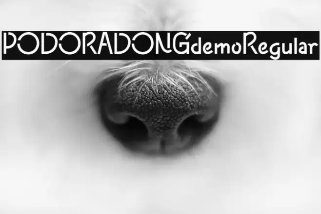 PODORADONGdemoRegular Font examples