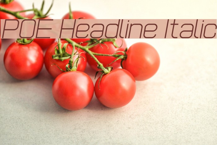 POE Headline Italic Font examples