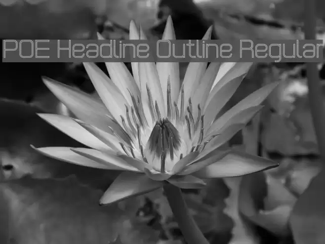 POE Headline Outline Regular Font examples