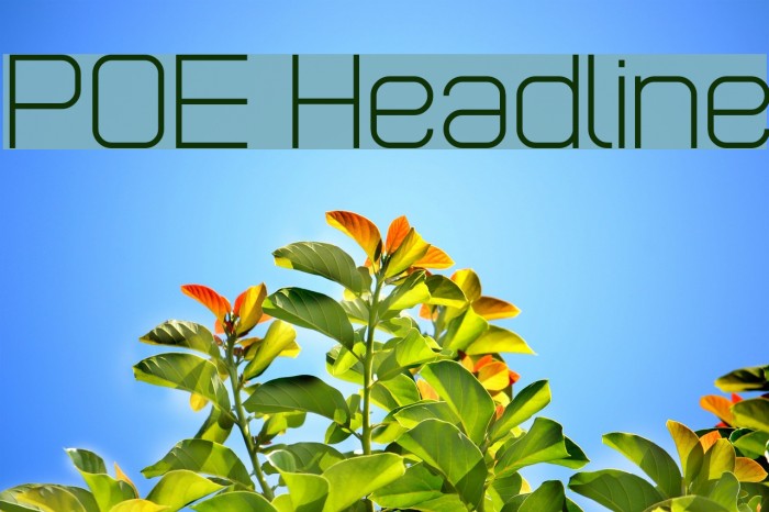 POE Headline Font examples