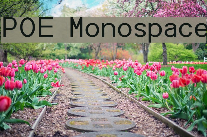 POE Monospace Font examples