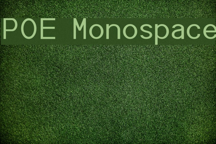 POE Monospace Font examples
