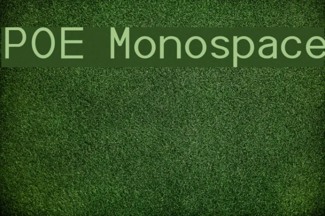 POE Monospace Example 2