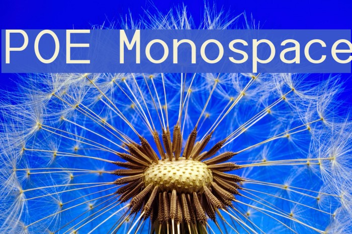 POE Monospace Font examples