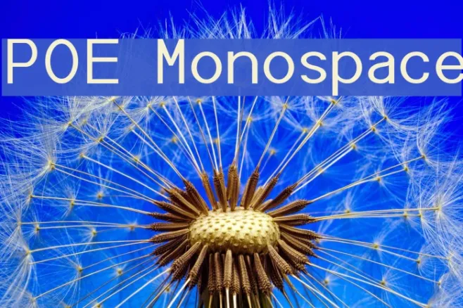 POE Monospace Example 3