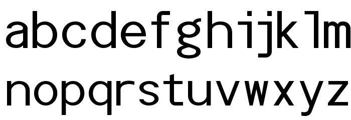 POE Monospace Font LOWERCASE
