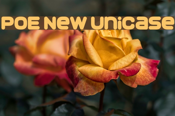 POE New Unicase Font examples