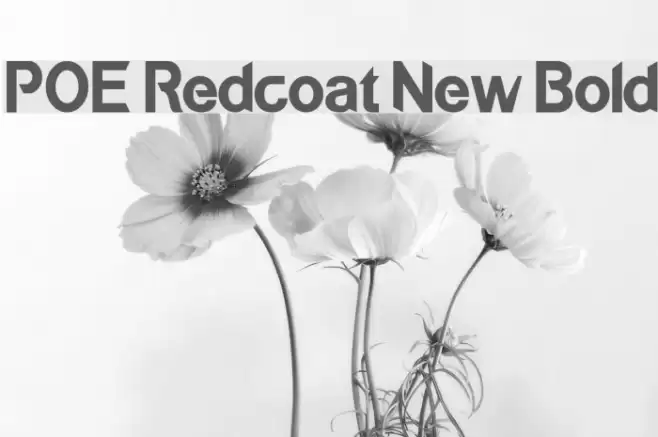 POE Redcoat New Bold Font examples