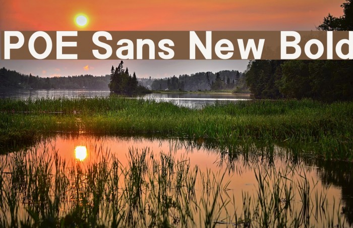POE Sans New Bold Font examples
