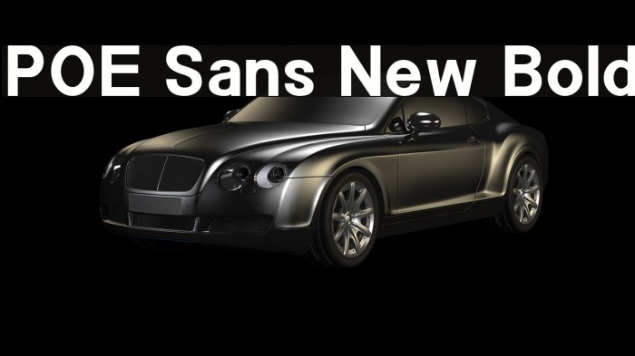 POE Sans New Bold Font examples