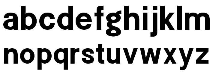POE Sans New Bold Font LOWERCASE