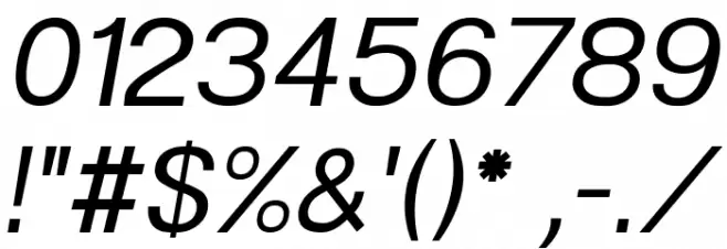 POE Sans New Italic Font OTHER CHARS