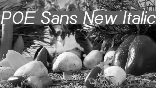 POE Sans New Italic Font examples
