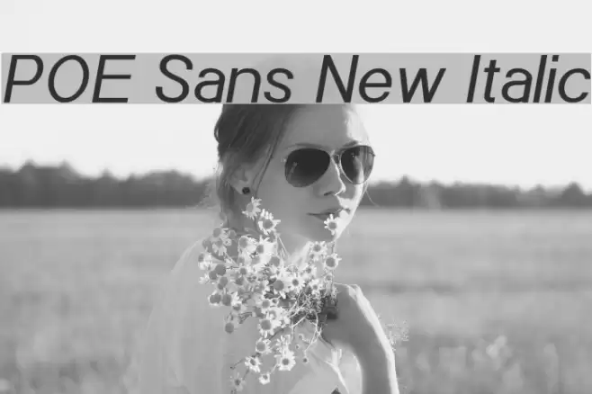 POE Sans New Italic Font examples