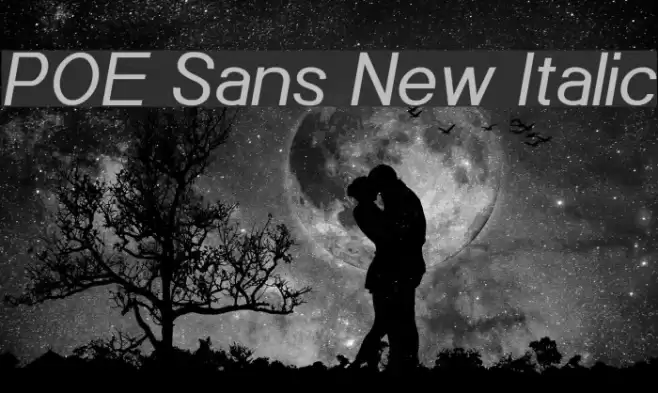 POE Sans New Italic Font examples