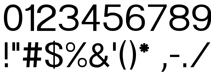 POE Sans New Font OTHER CHARS