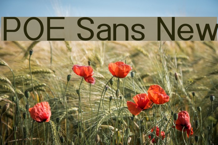 POE Sans New Font examples