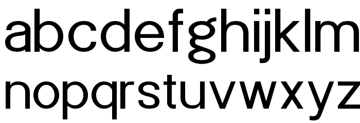POE Sans New Font LOWERCASE