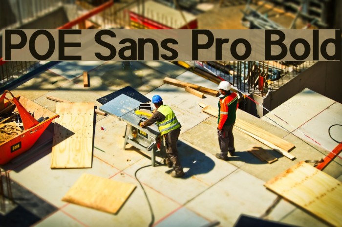 POE Sans Pro Bold Font examples