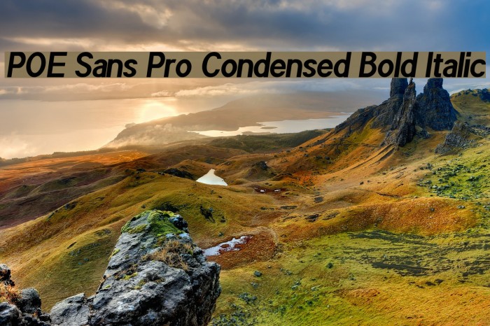 POE Sans Pro Condensed Bold Italic Example 2