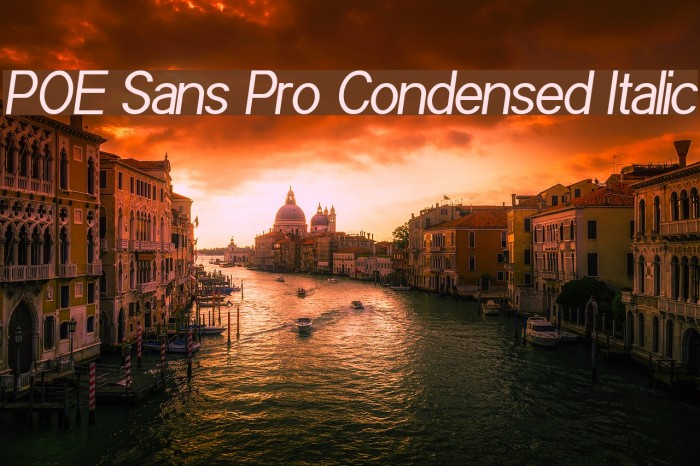 POE Sans Pro Condensed Italic Font examples