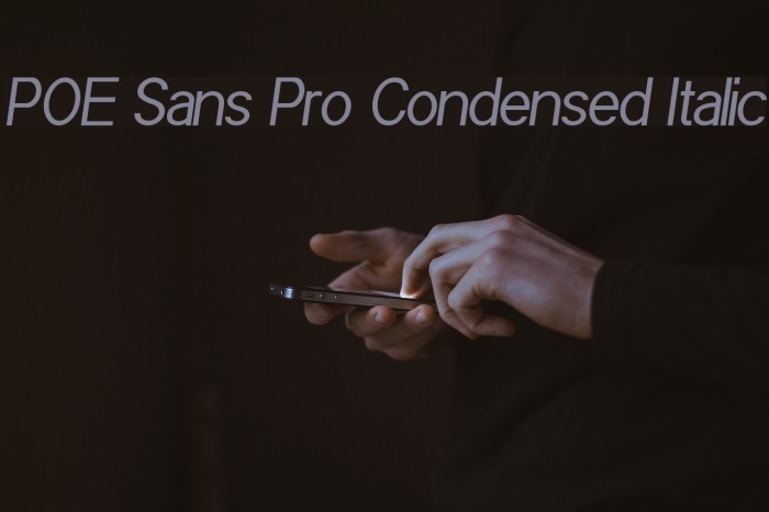 POE Sans Pro Condensed Italic Font examples