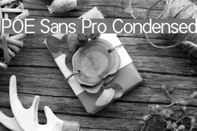 POE Sans Pro Condensed Font examples