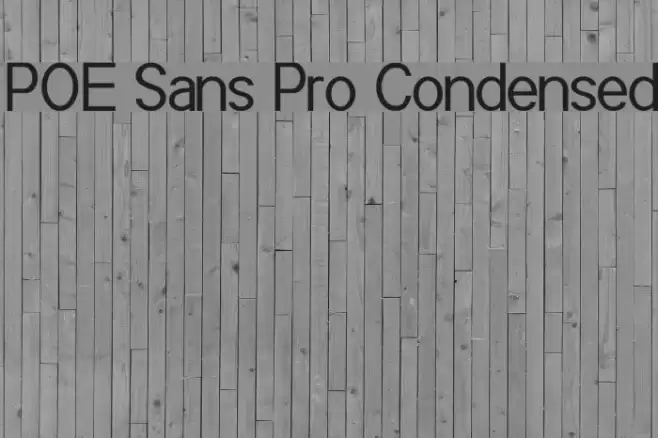 POE Sans Pro Condensed Font examples