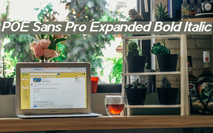 POE Sans Pro Expanded Bold Italic Font examples