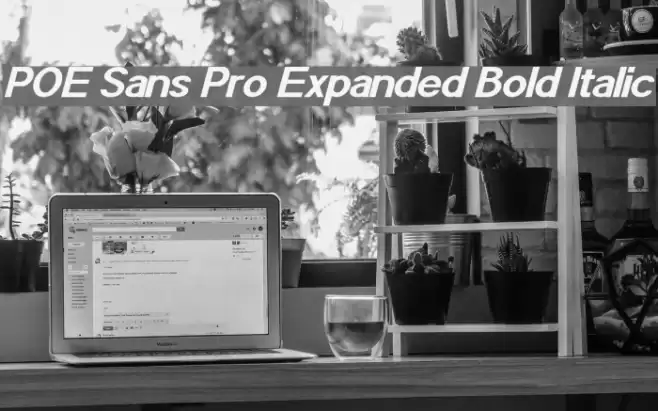 POE Sans Pro Expanded Bold Italic Font examples