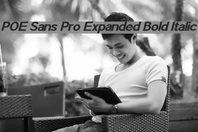 POE Sans Pro Expanded Bold Italic Font examples