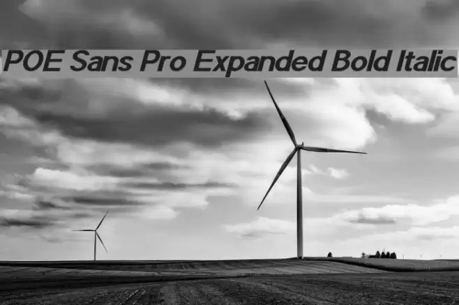 POE Sans Pro Expanded Bold Italic Font examples