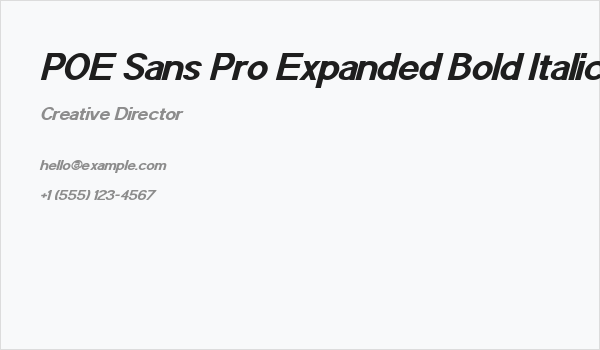 POE Sans Pro Expanded Bold Italic Business Card