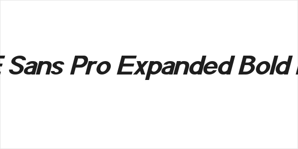 POE Sans Pro Expanded Bold Italic Logo