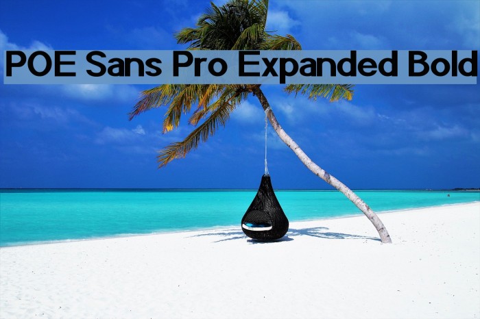 POE Sans Pro Expanded Bold Font examples