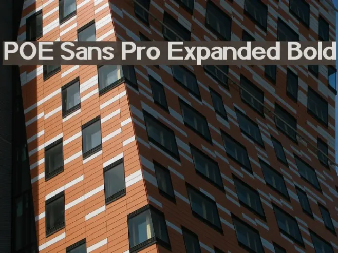 POE Sans Pro Expanded Bold Example 3