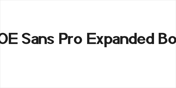 POE Sans Pro Expanded Bold Logo
