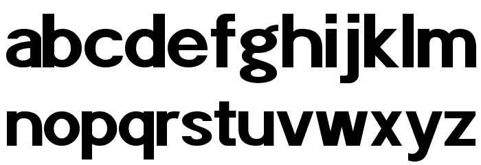 POE Sans Pro Expanded Bold Font LOWERCASE