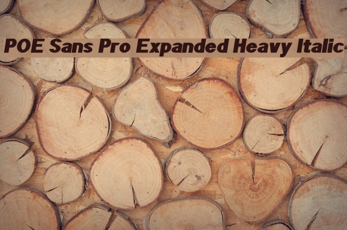 POE Sans Pro Expanded Heavy Italic Font examples