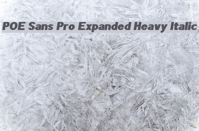 POE Sans Pro Expanded Heavy Italic Font examples