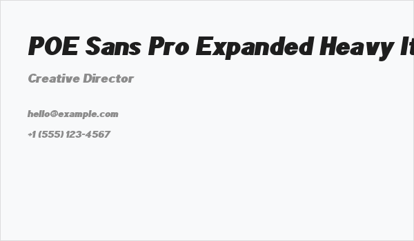POE Sans Pro Expanded Heavy Italic Business Card