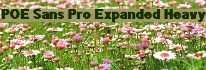 POE Sans Pro Expanded Heavy Example 2