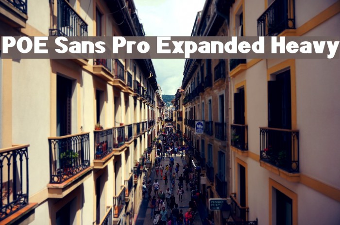 POE Sans Pro Expanded Heavy Font examples