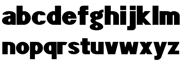 POE Sans Pro Expanded Heavy Font LOWERCASE