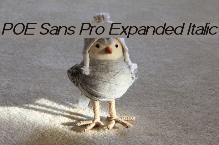 POE Sans Pro Expanded Italic Font examples